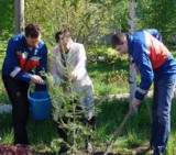 Энергетики спасают лес